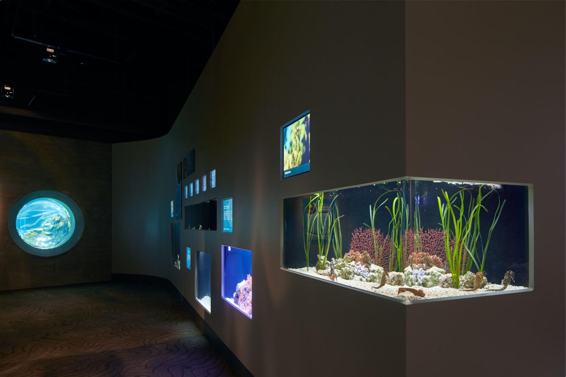ToledoZooAquarium_Photo©BruceDamonte_05