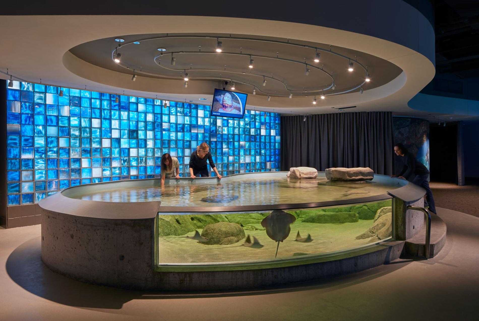 ToledoZooAquarium_Photo©BruceDamonte_06