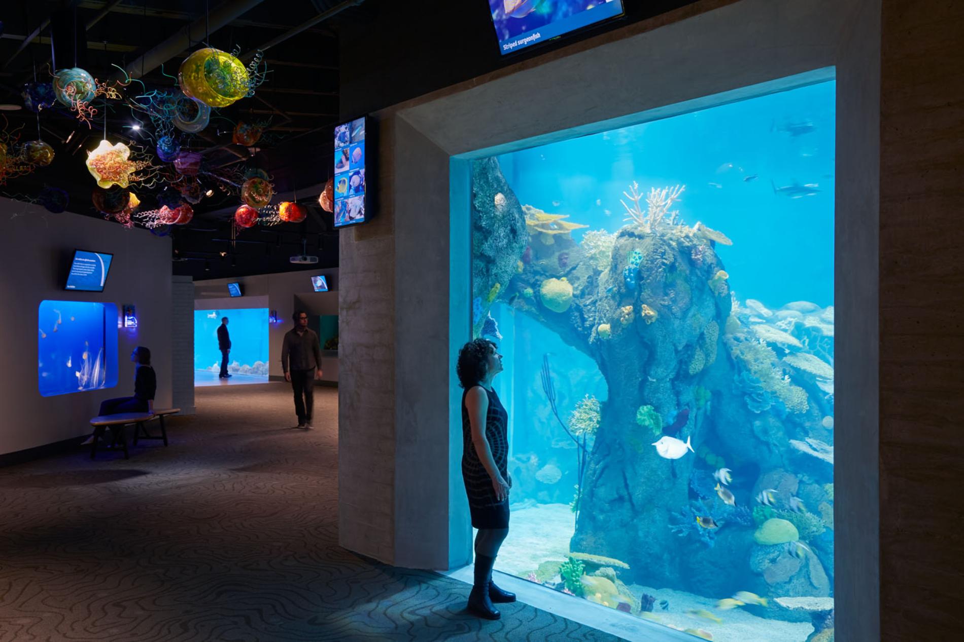 ToledoZooAquarium_Photo©BruceDamonte_10